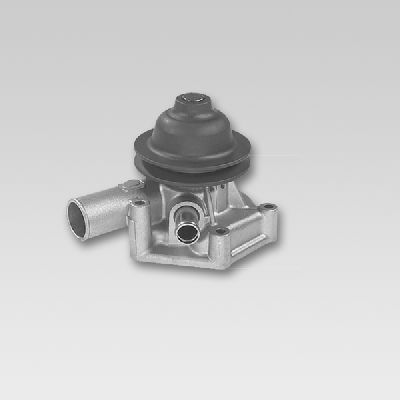 HEPU P1727 Water Pump