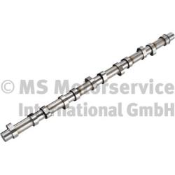 BF 20100220662 Camshaft