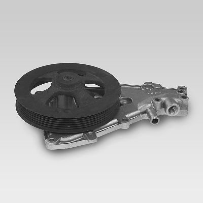HEPU P834 Water Pump