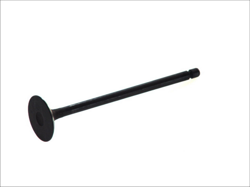 FRECCIA 6374/SNT Intake Valve