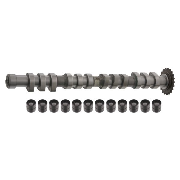 FEBI BILSTEIN FE33198 Camshaft Kit
