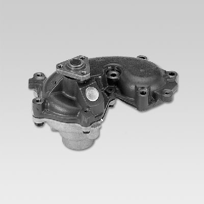 HEPU P1062 Water Pump