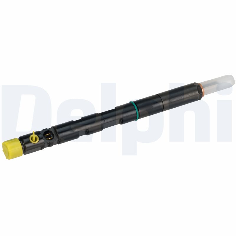 DELPHI R05001D Injector