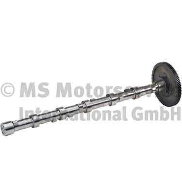 BF 20100228763 Camshaft