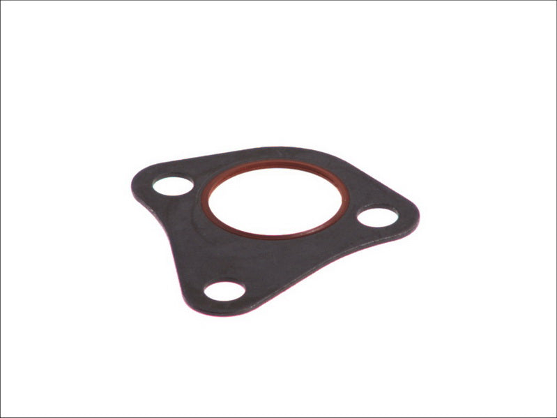 LEMA LE24096.00 Water Pump Gasket