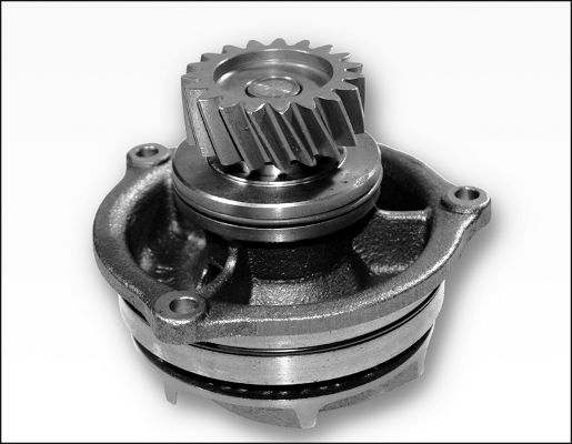 HEPU P1177 Water Pump