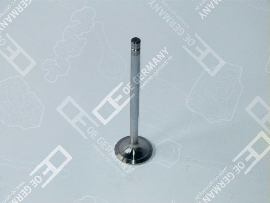 OE GERMANY 050520120000 Intake Valve
