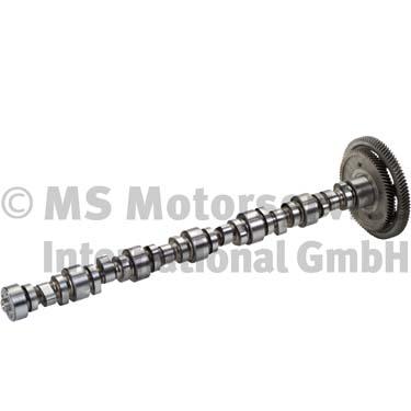 BF 20100345700 Camshaft