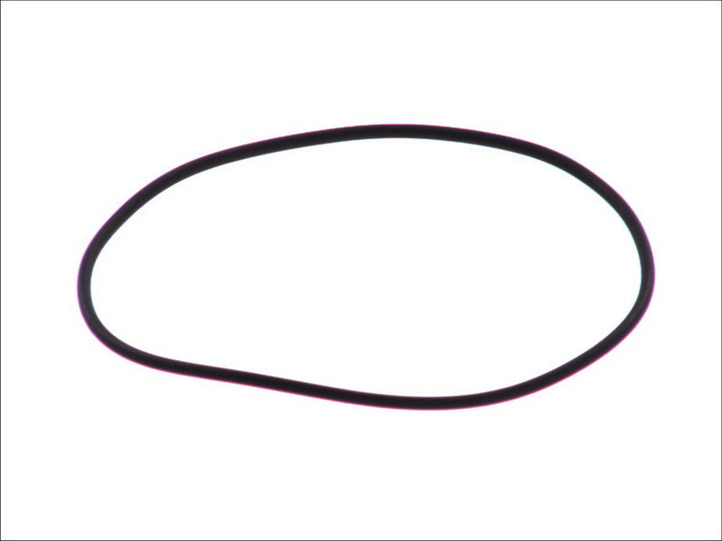 LEMA LE123275 Water Pump Gasket