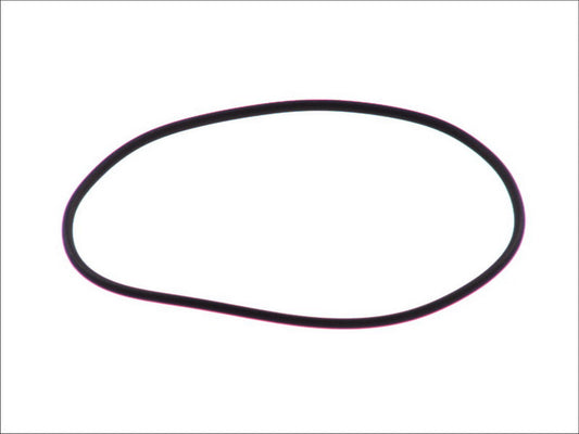 LEMA LE123275 Water Pump Gasket