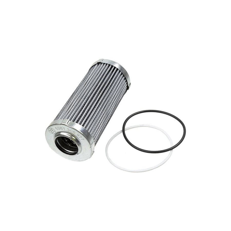 ZF Getriebe 5961.306.977 Hydraulic Filter, Automatic Transmission