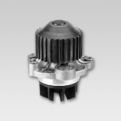 HEPU P802 Water Pump