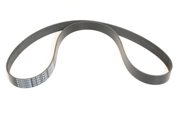 Aston Martin 05-81584 Engine Drive Belt | ML Performance US Car Parts