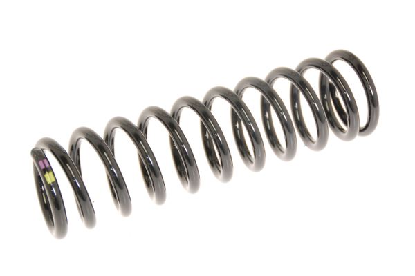 Aston Martin 6G33-5310-AD Front Road Spring Coupe | ML Performance US Car Parts