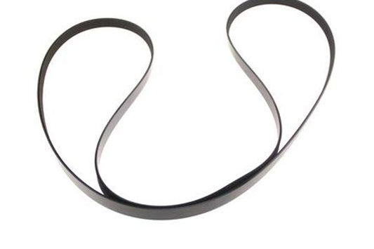 Aston Martin 9G33-8620-AB Engine Drive Belt | ML Performance US Car Parts