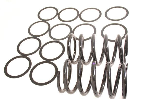 Aston Martin 23-83484 DB7 I6 Front Road Spring Kit | ML Performance US Car Parts