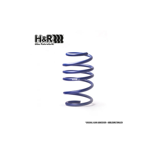 H&R 29630HA1 Performance Lowering Spring | ML Performance US Car Parts