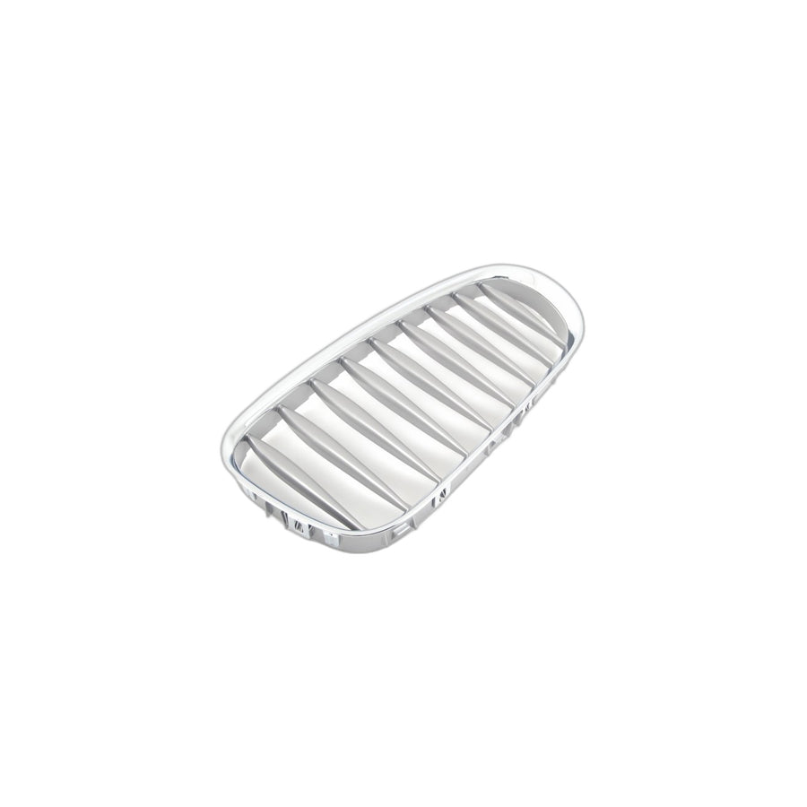 Genuine BMW 51117117757 E85 E86 Grille Left GRAPHIT (Inc. Z4) | ML Performance UK Car Parts